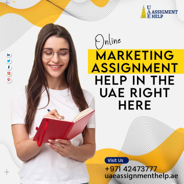 Professional Assignment Writing Help in Dubai