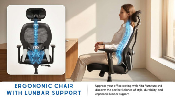 Ergonomic Chair with Lumbar Support