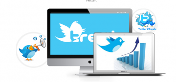 Twitter Marketing Services India