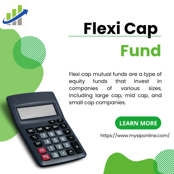 Investing in Flexi Cap Funds: Your Path to Diversified Growth