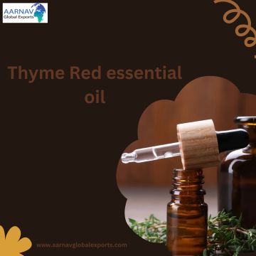 Wholesale Thyme Red Essential oil Suppliers Worldwide