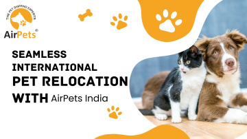 Seamless International Pet Relocation with AirPets India