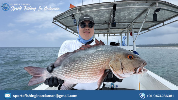 Sport Fishing in Andaman | Expert Fishing Charters & Offshore Adventures