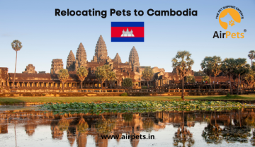 Safe and Hassle-Free Pet Relocation from India to Cambodia with AirPets India