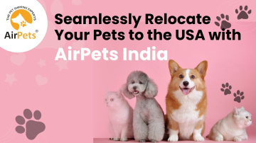 Seamlessly Relocate Your Pets to the USA with AirPets India