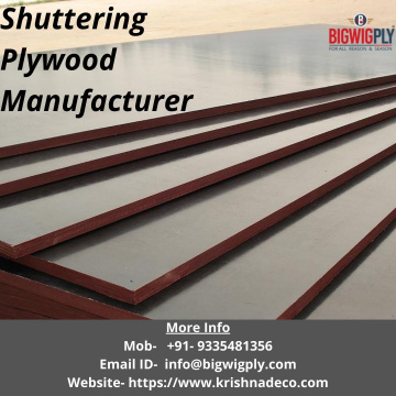 Shuttering Plywood Manufacturer | Bigwig Plywood