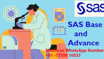 Clinical Trials phase and SAS process