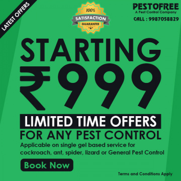 Pest Control @999