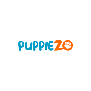 Shih Tzu Puppies: Your Guide to Joyful Companionship - Puppiezo