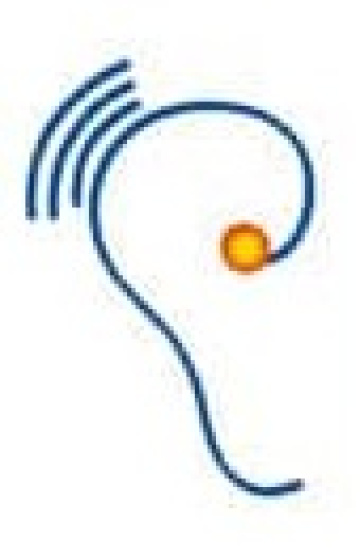 Ear Solutions Corp