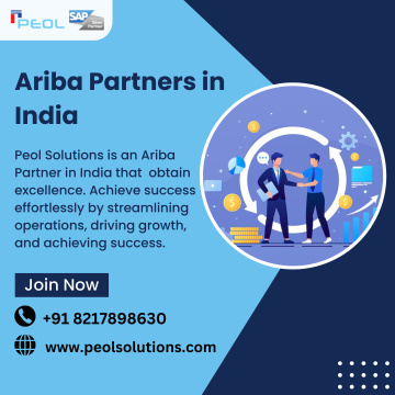 Ariba Partners in India