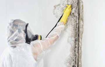 City of Oaks Mold Inspections