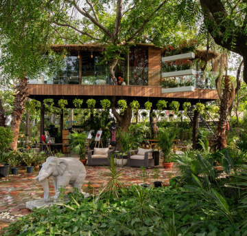 For Best Tree House Resorts near Delhi- IRA Luxe Staycation!