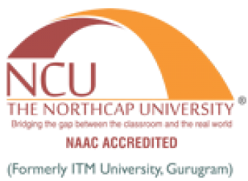 North Cap University