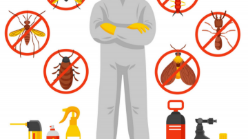 Top Pest control services