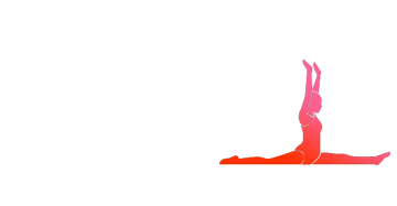 Excellence Gymnastic Academy