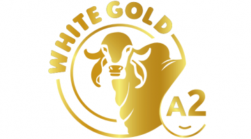 White gold A2 Mil