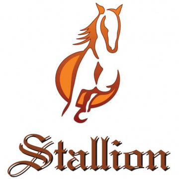 Stallion Microsystem
