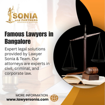 High Court Advocacy for Complex High-Stakes Legal Cases