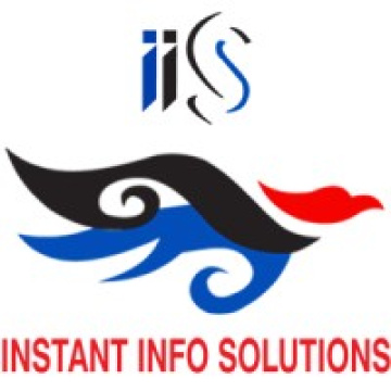 Best Website Design Company In Delhi | IIS INDIA