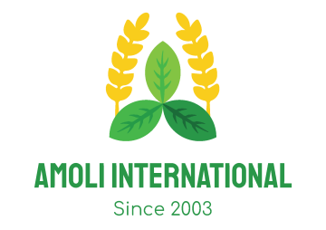 Amoli International