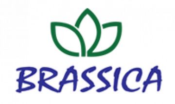 Brassica Hospitality Services Pvt. Ltd.