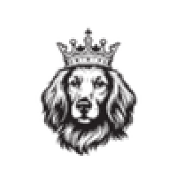 Tudor Energy LLC