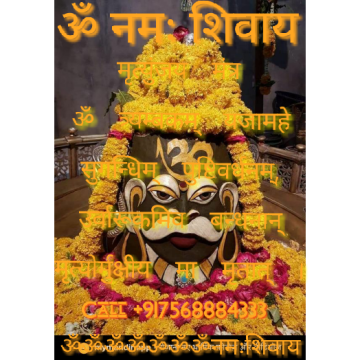 ⁂⁂Panchkula ⁂⁂Remover Of Every Problem⁂+91-7568884333⁂Love Vashikaran Specialist Baba Ji Chandigarh