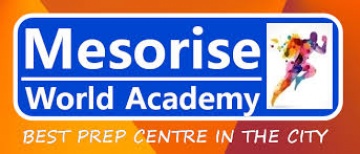 Mesorise World Academy