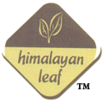 Himalayan Leaf