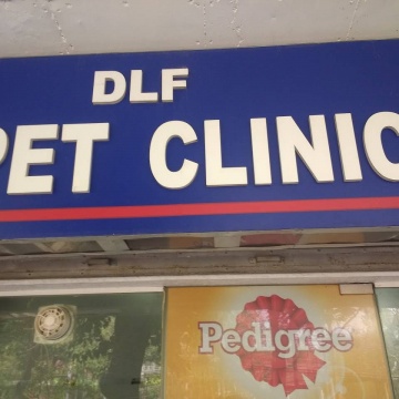 DLF Pet Clinic