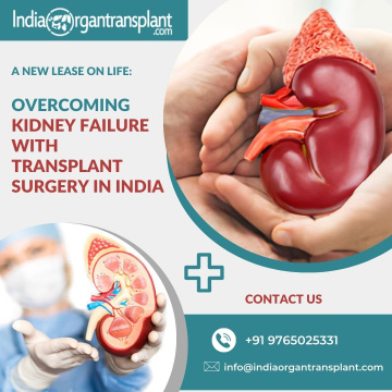 Kidney Transplant Surgery Cost India