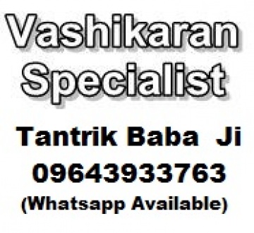 Vashikaran Specialist Vastu Consultant Astrologer Narayan Shastri Ji