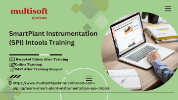 SmartPlant Instrumentation (SPI) Intools Online Training And Certification Course