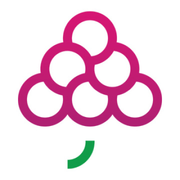 GrapesTech Solutions Pvt. Ltd.