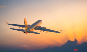 Book Smarter, Travel Better with Flighta