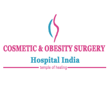 Cost of Sleeve Gastrectomy Single Incision India  S
