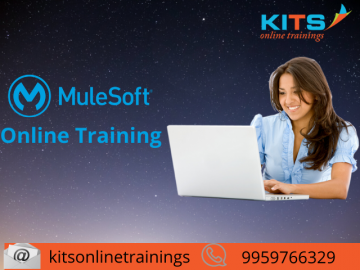 Mulesoft Online Training