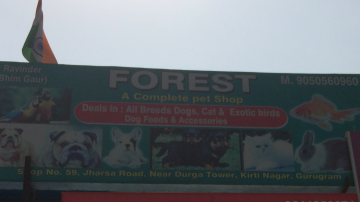 Forest Pet Store - Best Pet Store, Pets Food Shop, Latest Dog Breeds, Best Pet Shop in Gurgaon