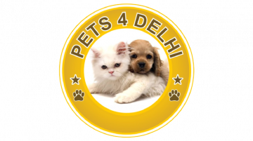 PETS 4 DELHI