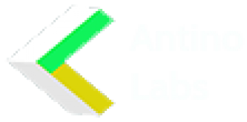 Antino Labs Private Limited