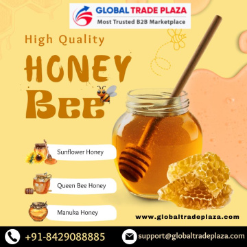 Best Honey Exporter and Importer In the USA