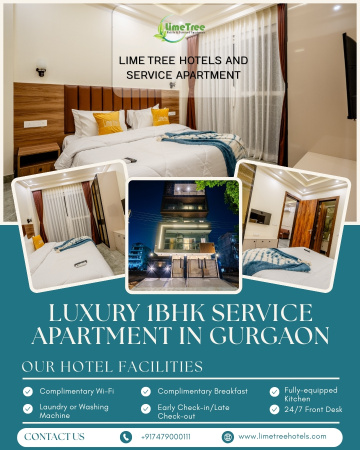Lime Tree 1BHK Furnished Service Apartment Near Artemis, Gurgaon