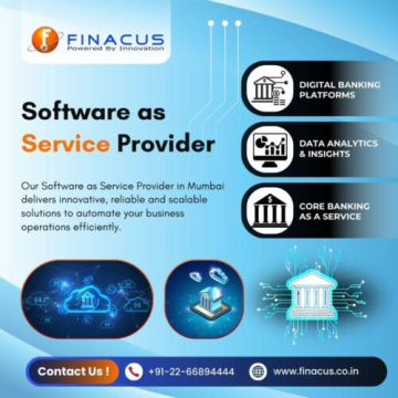 Software as Service Provider | Payment Service Provider