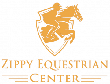 Horse riding classes bangalore