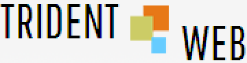 Trident Web Infoservices