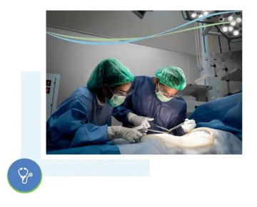 gynecologists
