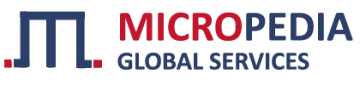 MicroPedia -  The Best Website Development Company in India