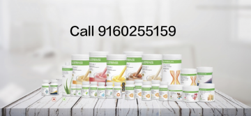 Herbalife Weight Loss Products Madanapalle