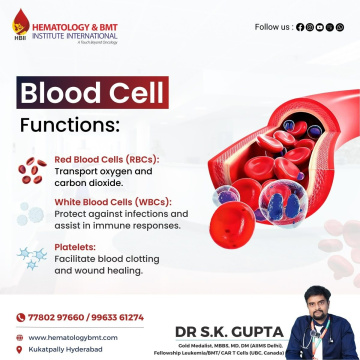Hematology Test – Understanding Blood Health and Diagnosis